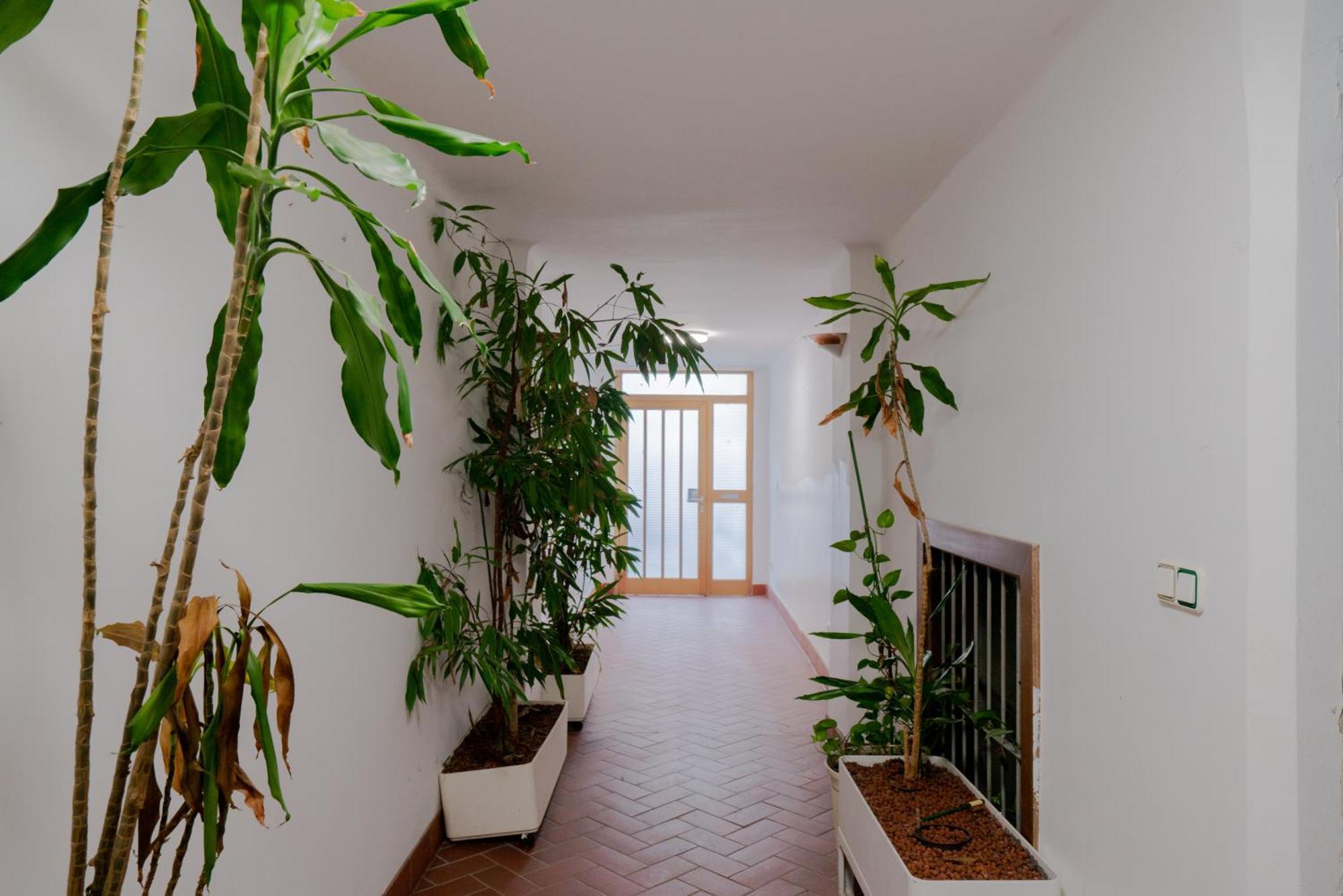 Bessemer - Charming Cottage With Garden Viena Exterior foto